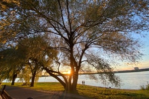 Britannia 🌳 by Ottawa River Pathway