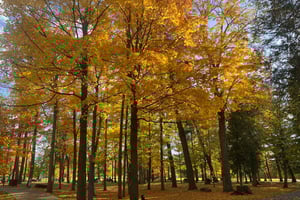 Vincent Massey and Beyond