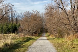 Wesley Clover & Shirley's Bay