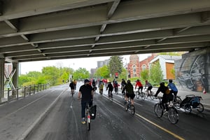 Queen Elizabeth Driveway