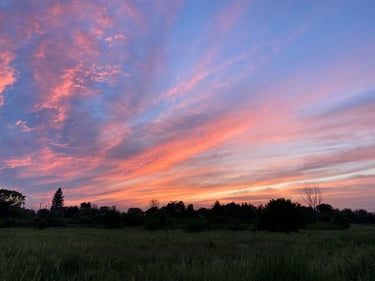 a field with trees and a colorful sky