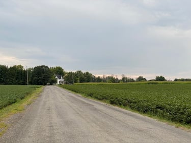 a road with grass on the side
