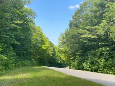 Pink Lake in Gatineau Park
