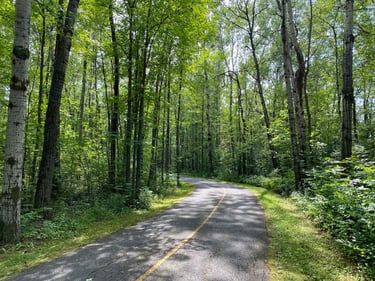 East End ➡️ Petrie Island