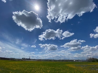 Wesley Clover & Shirley's Bay