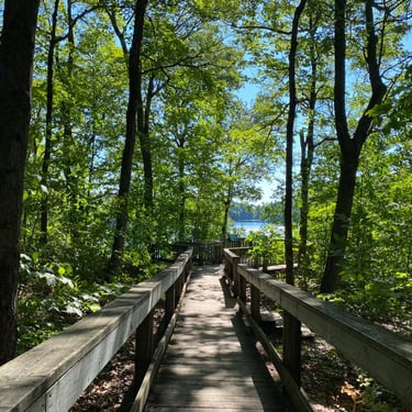 Pink Lake in Gatineau Park