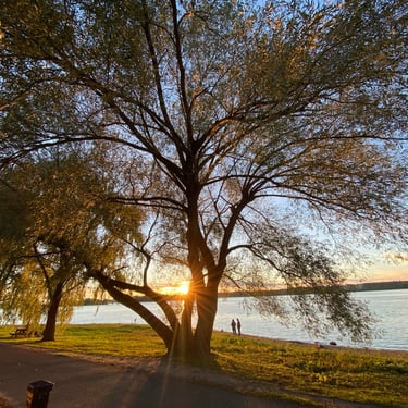 Britannia 🌳 by Ottawa River Pathway