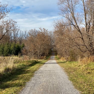 Wesley Clover & Shirley's Bay