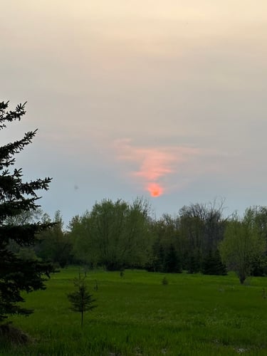 Wesley Clover & Shirley's Bay