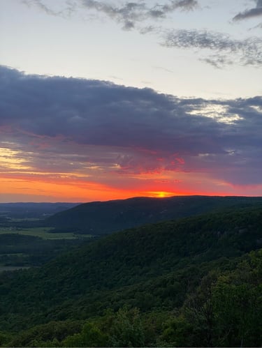 a landscape with trees and a sunset