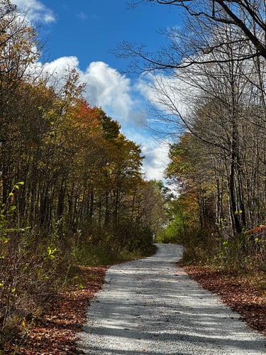 Hopetown Classic Loop