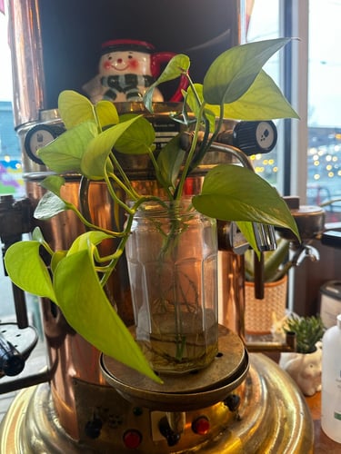 La grande boucle autour d'Ottawa