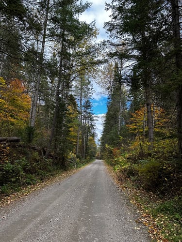 Hopetown Classic Loop