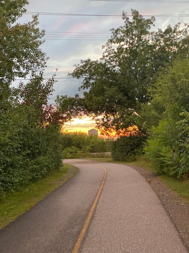 Wesley Clover & Shirley's Bay