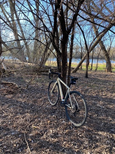 Vincent Massey and Beyond