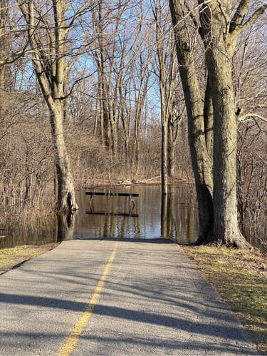 Vincent Massey et au-delà