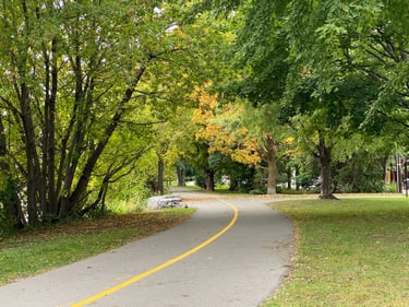 Vincent Massey and Beyond