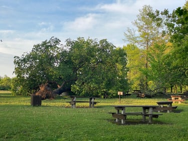 Vincent Massey et au-delà