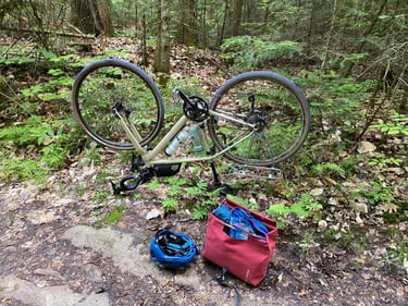 flat tire, fixing my bike amongst the bugs