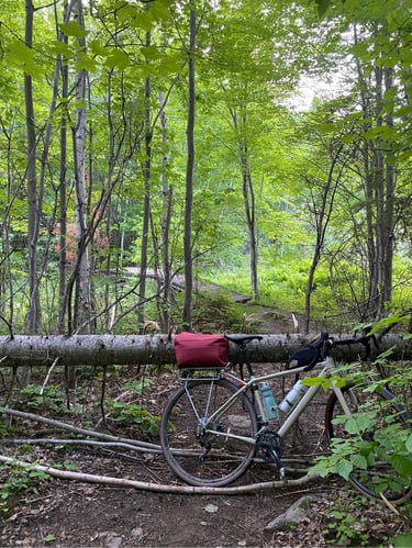 a bicycle parked on fallen tree