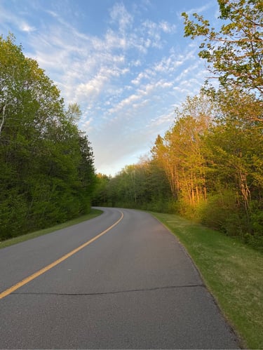 Gatineau Park: Meech Lake + Champlain Lookout