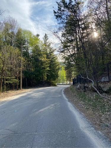 Gatineau Park: Meech Lake + Champlain Lookout