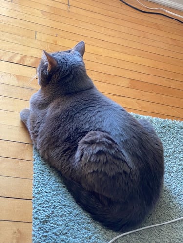 Vincent Massey et au-delà