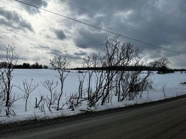 Almonte Roubaix mixes