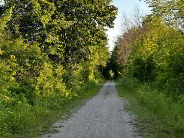 Ottawa to Carleton Place and Smith Falls