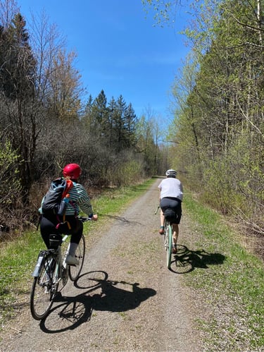 riding bikes on a trail