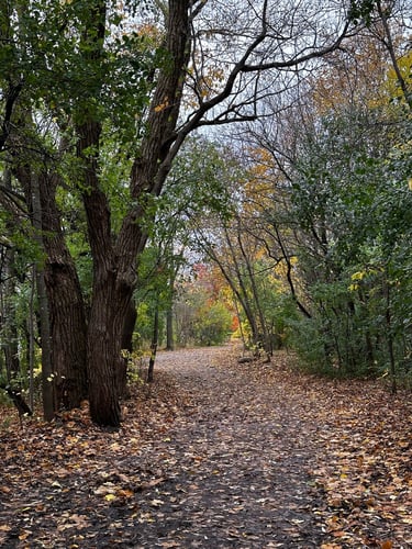 Vincent Massey et au-delà