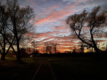 Vincent Massey et au-delà