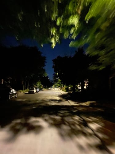 Vincent Massey et au-delà