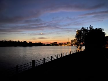 Vincent Massey et au-delà