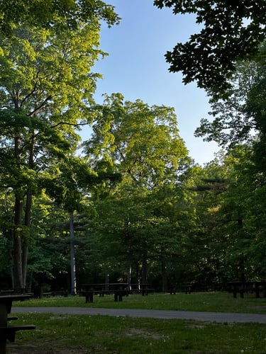 Vincent Massey et au-delà