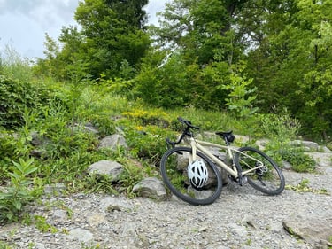 Est de la ville ➡️ Île Petrie