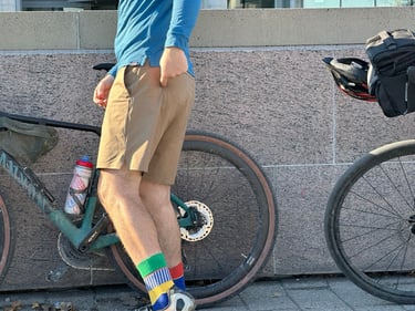 Est de la ville ➡️ Île Petrie