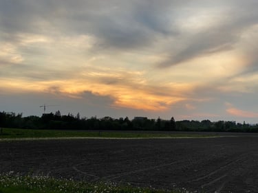 Experimental Farm and Carlington Woods