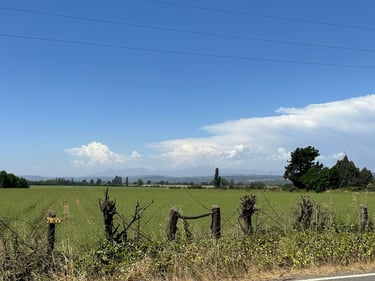 Vuelta San Pedro 200