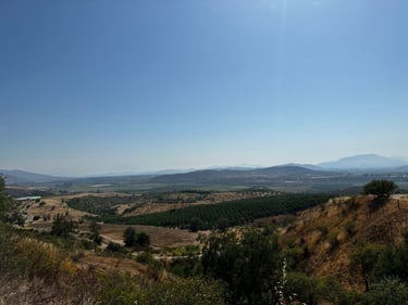 Vuelta Los Poetas 300