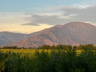 Vuelta Los Poetas 300