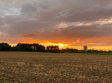 Wesley Clover & Shirley's Bay