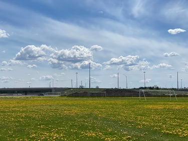 Wesley Clover & Shirley's Bay