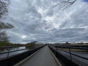 a bridge with a road and trees