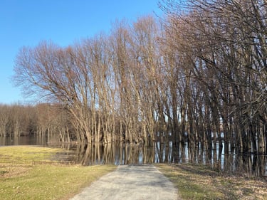 Vincent Massey and Beyond