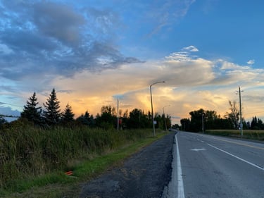 a road with grass and trees on the side