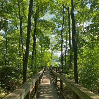 Pink Lake in Gatineau Park