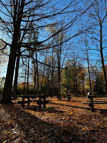 Vincent Massey and Beyond