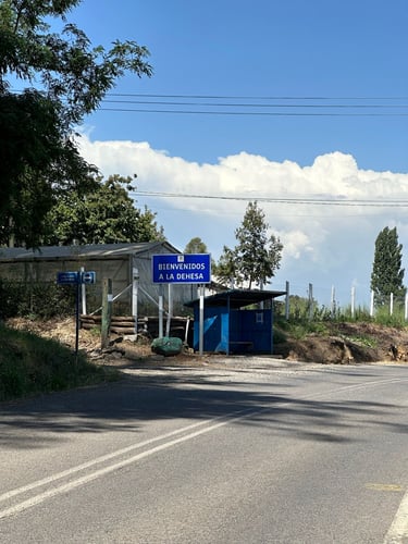 Vuelta San Pedro 200