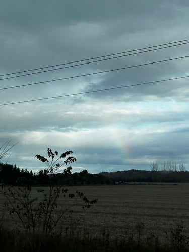 Hopetown Classic Loop